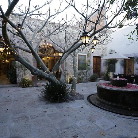 Orchid House סאן מיגל דה אלנדה מראה חיצוני תמונה