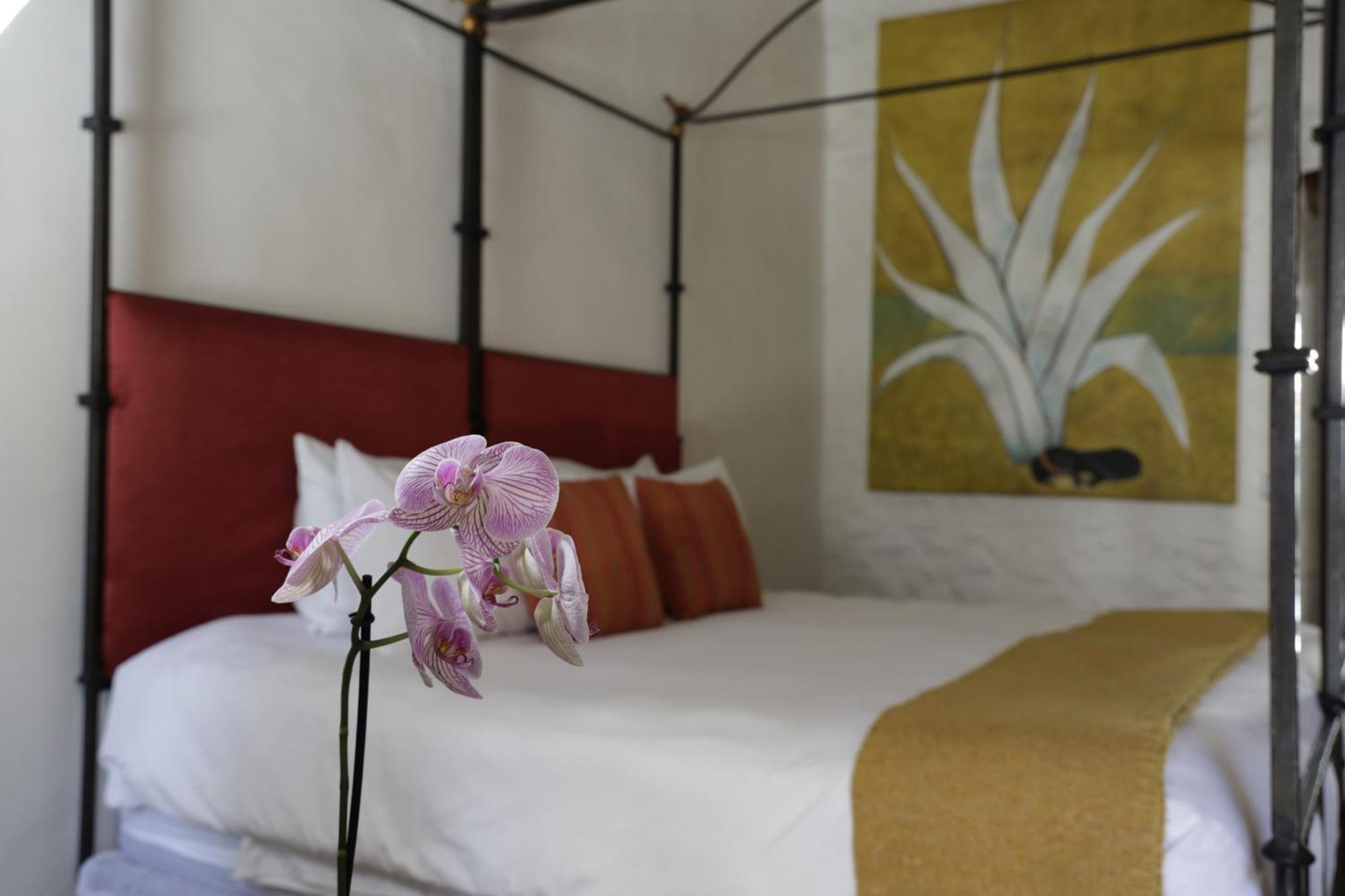 Orchid House סאן מיגל דה אלנדה מראה חיצוני תמונה