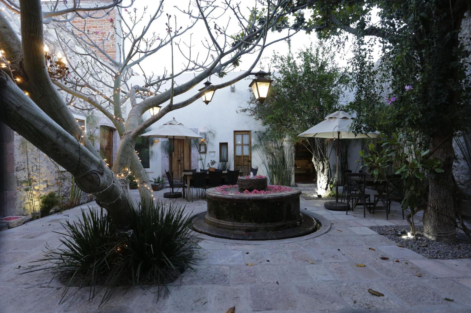 Orchid House סאן מיגל דה אלנדה מראה חיצוני תמונה