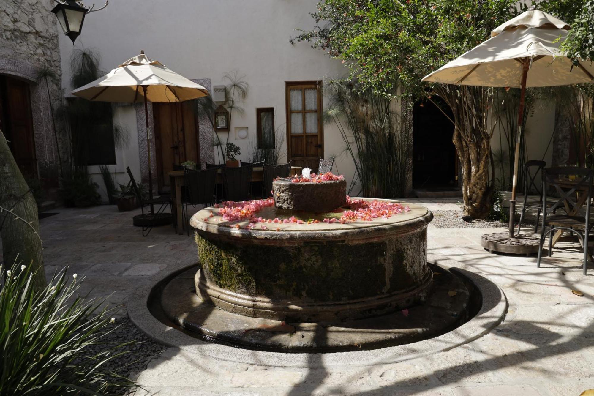 Orchid House סאן מיגל דה אלנדה מראה חיצוני תמונה