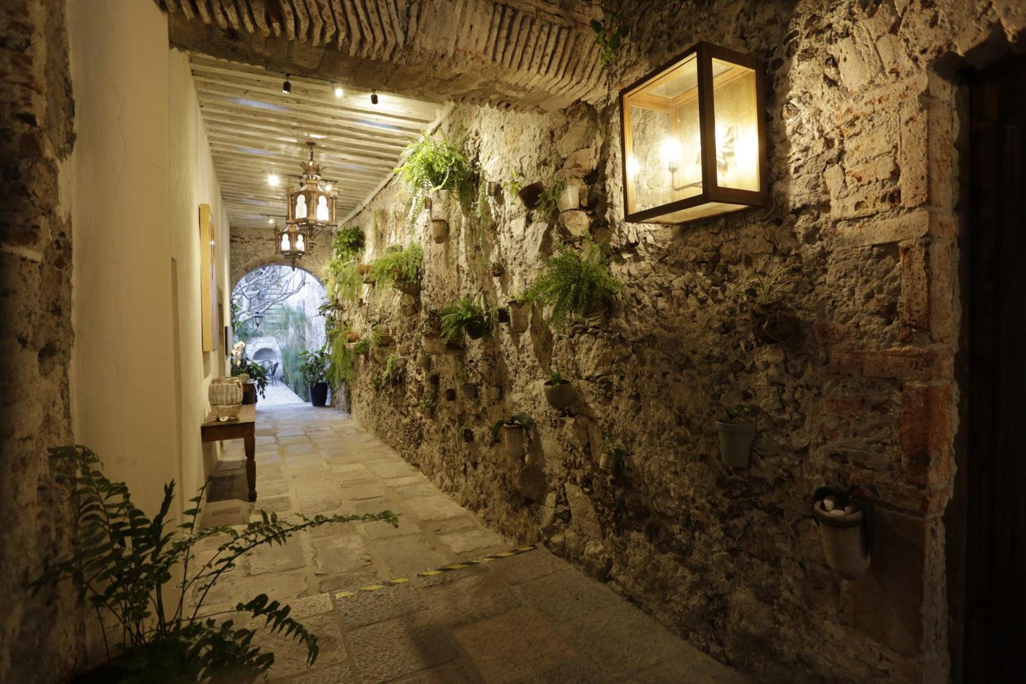 Orchid House סאן מיגל דה אלנדה מראה חיצוני תמונה