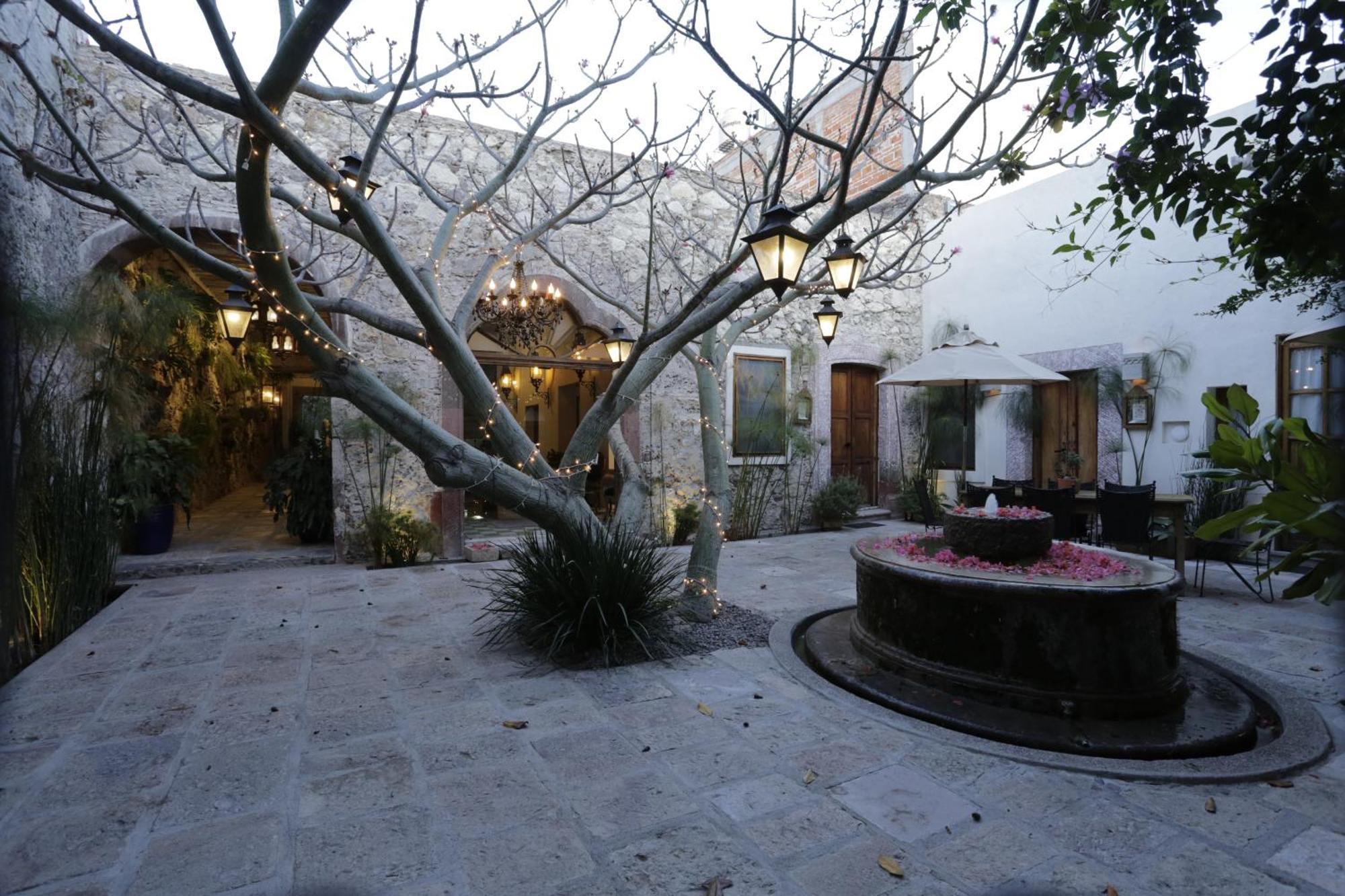 Orchid House סאן מיגל דה אלנדה מראה חיצוני תמונה