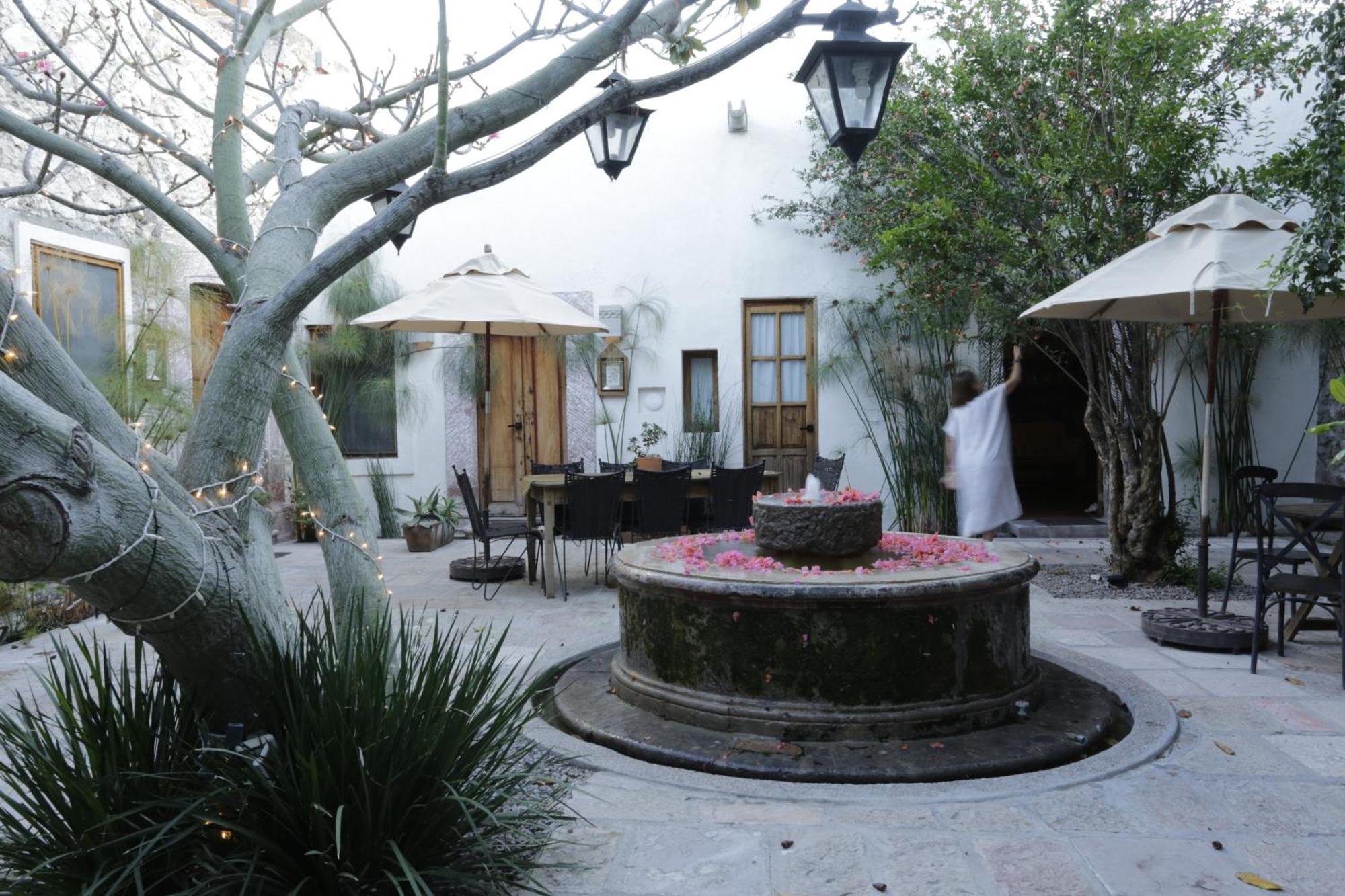 Orchid House סאן מיגל דה אלנדה מראה חיצוני תמונה