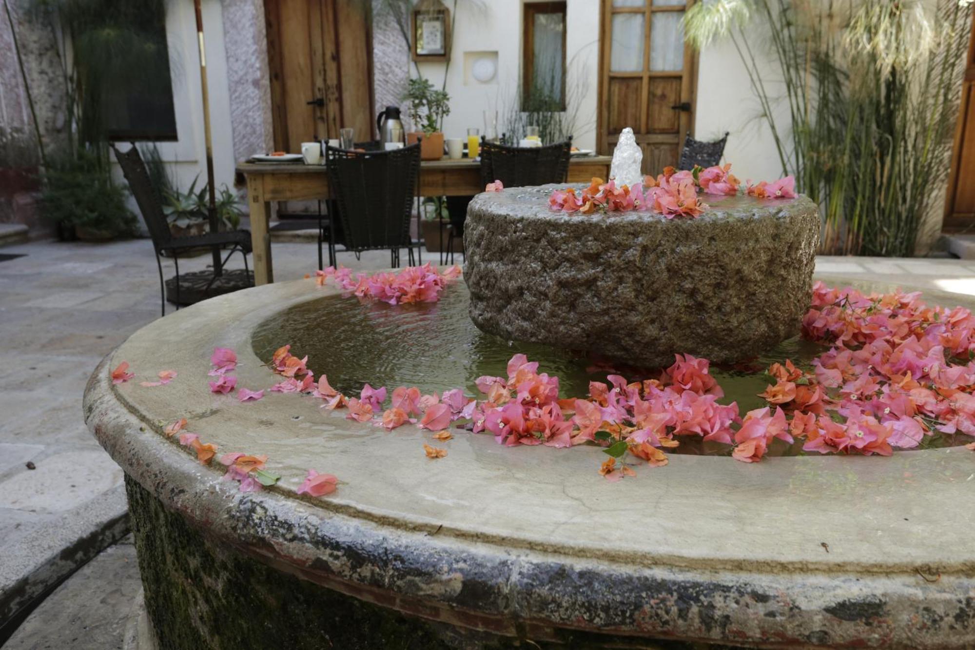 Orchid House סאן מיגל דה אלנדה מראה חיצוני תמונה