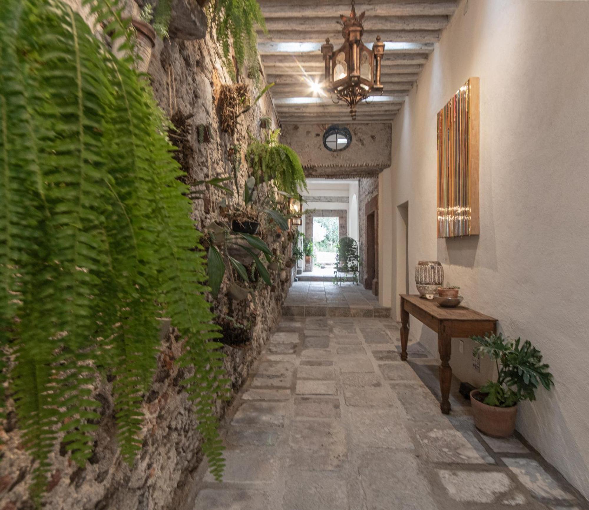 Orchid House סאן מיגל דה אלנדה מראה חיצוני תמונה
