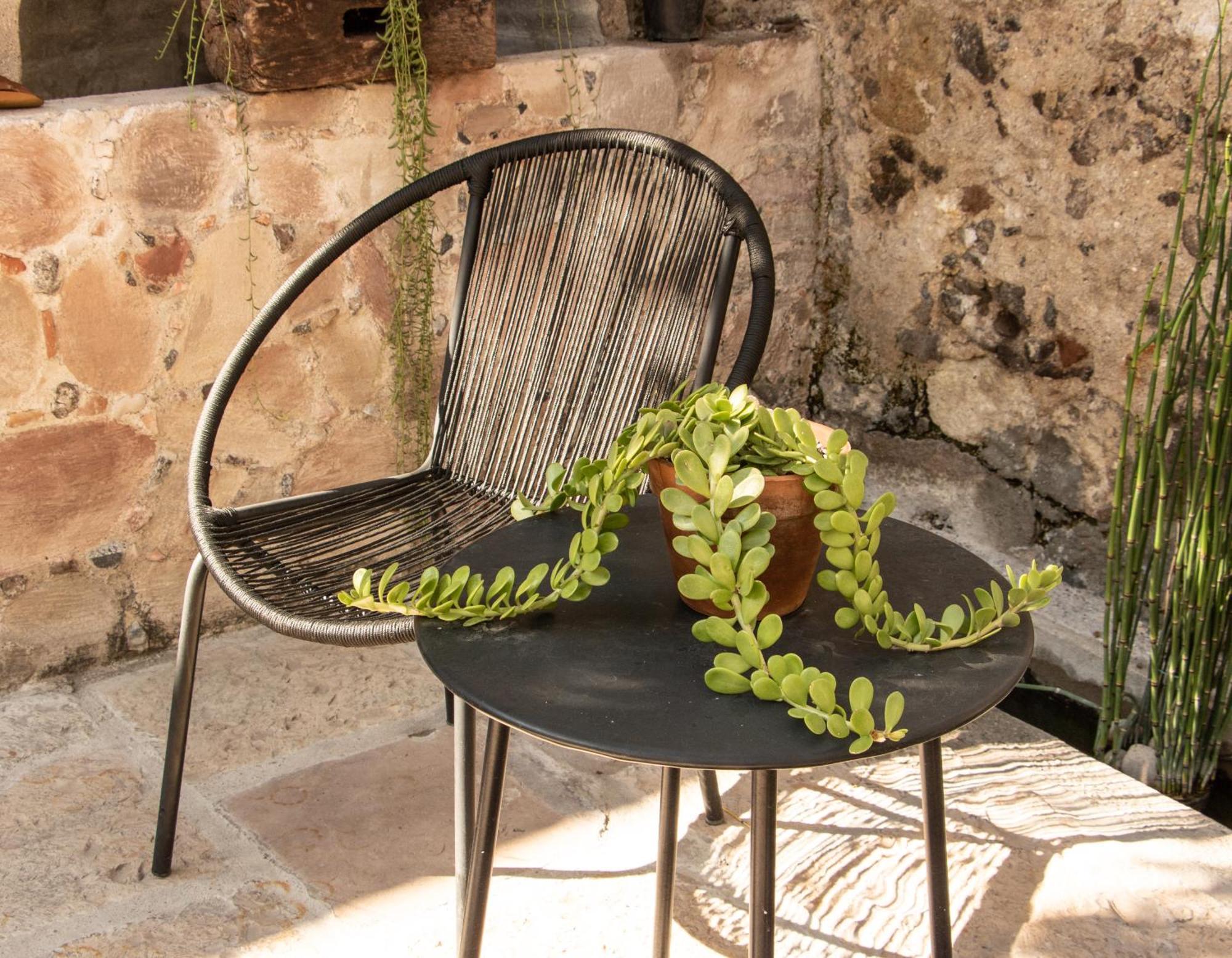 Orchid House סאן מיגל דה אלנדה מראה חיצוני תמונה